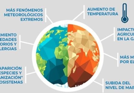 Envíanos tus propuestas.