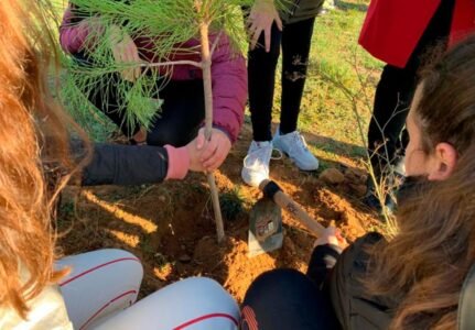 Educar, sensibilizar y difundir.